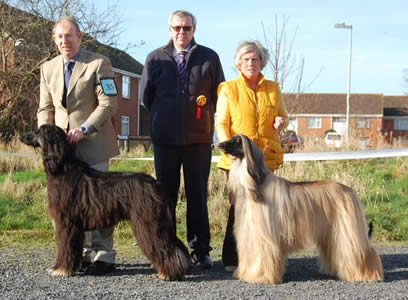 Best Dog and Reserve