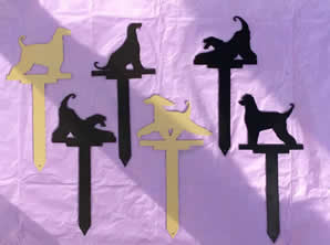 Afghan Hound Pot Stakes
