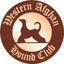Western Afghan Hound Club - Regional South West of England UK Afghans Breed Club