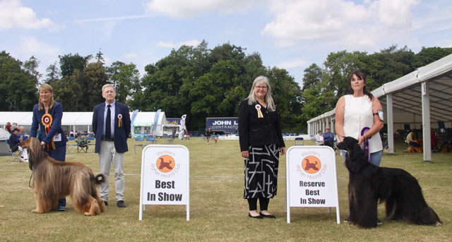 WAHC 2025 Championship show - BIS and Reserve