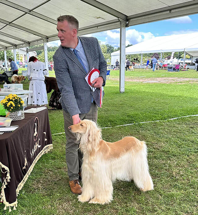 Western Afghan Hound Club, Open show, 6 August 2023 Post Graduate winner - Altside She’s Hot