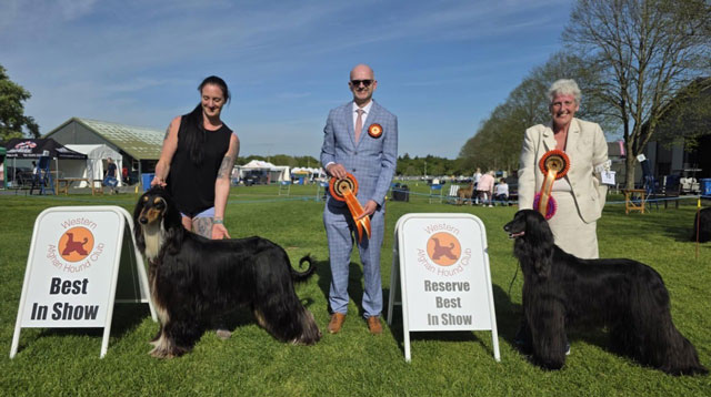 Western Afghan Hound Club - 28 April 2025 Open Show Winners